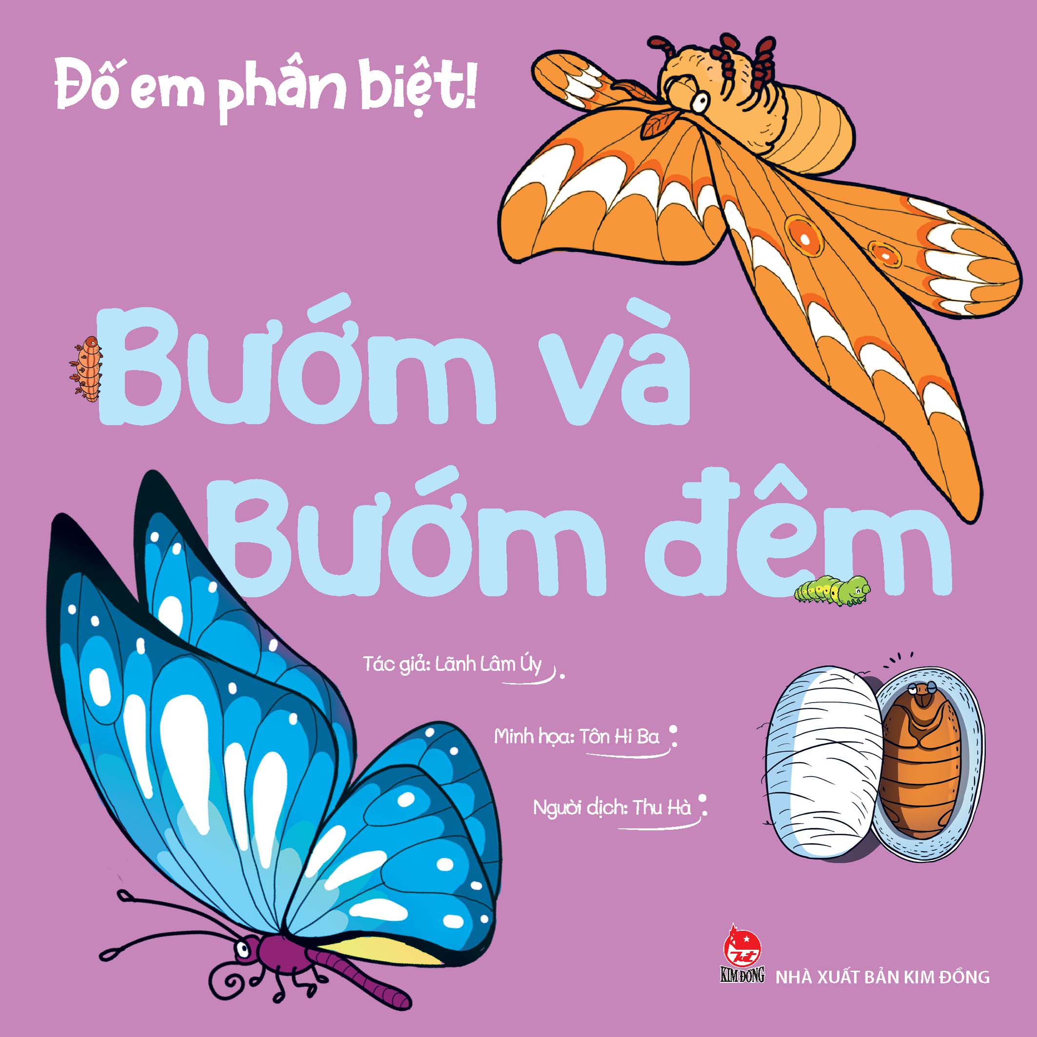 Đố em phân biệt! - Bướm và bướm đêm