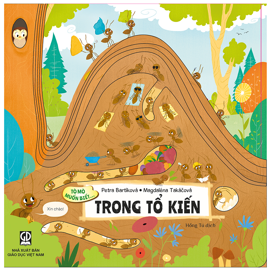 Tò mò muốn biết... Trong tổ kiến