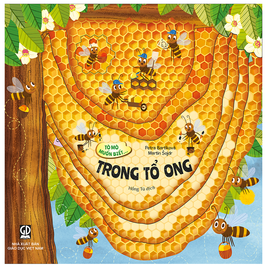 Tò mò muốn biết... Trong tổ ong