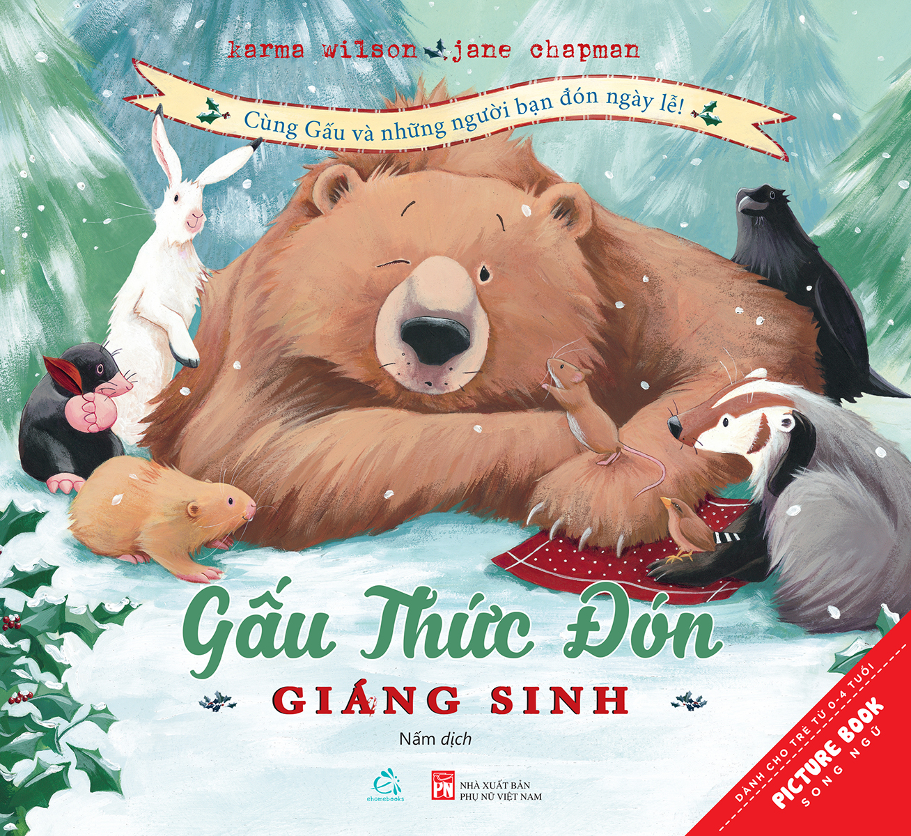 Gấu Thức Đón Giáng Sinh