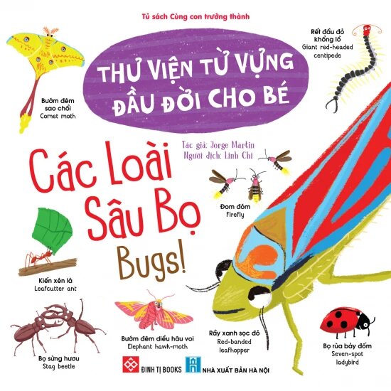 Thư Viện Từ Vựng Đầu Đời Cho Bé - Các Loài Sâu Bọ - Bugs!